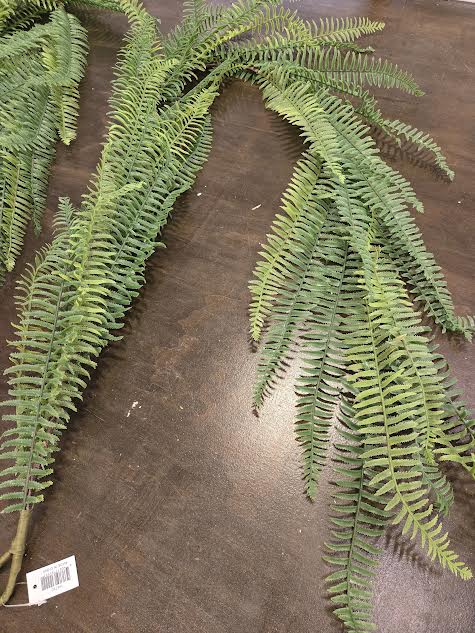 Boston Fern Garland