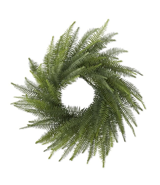 36 Inch Fern Wreath on Vine Base - Bria Blair Creative