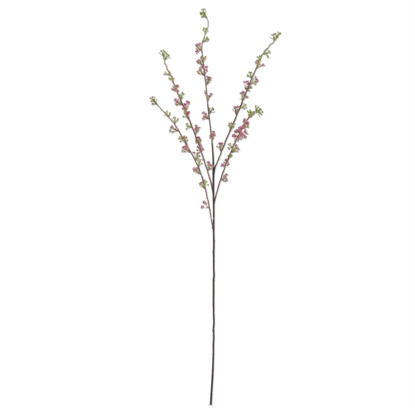 46 Inch Pink Hoary Willow Spray - Bria Blair Creative