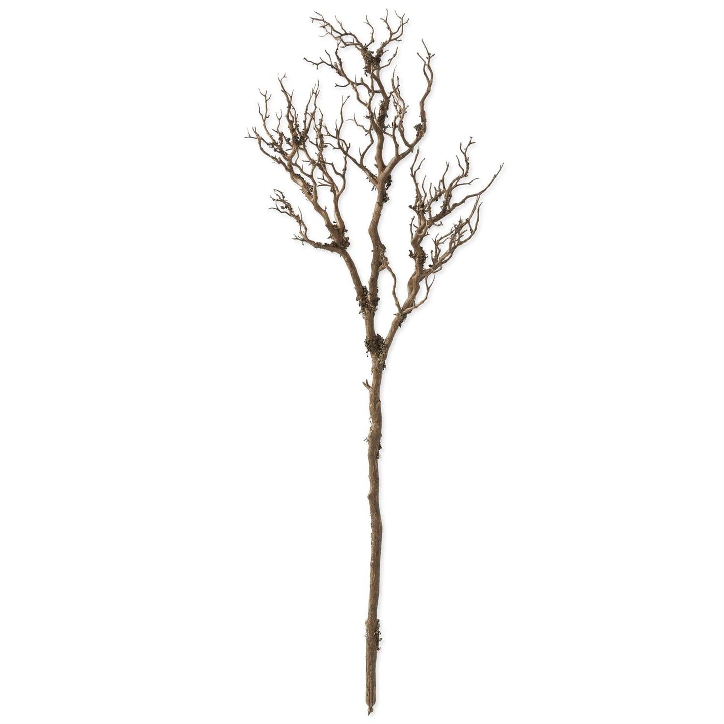 53 Inch Branch w/Faux Moss - Bria Blair Creative