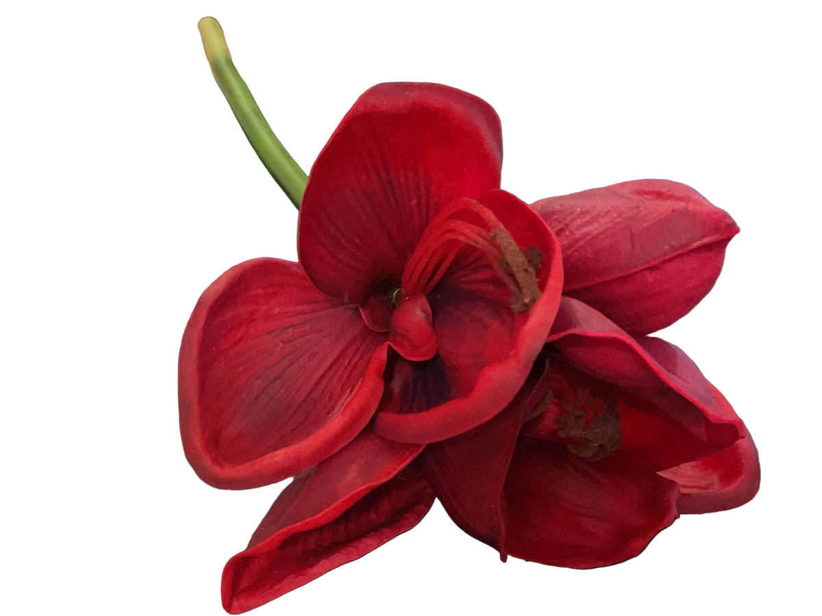 28 INCH REAL TOUCH BURGUNDY AMARYLLIS STEM