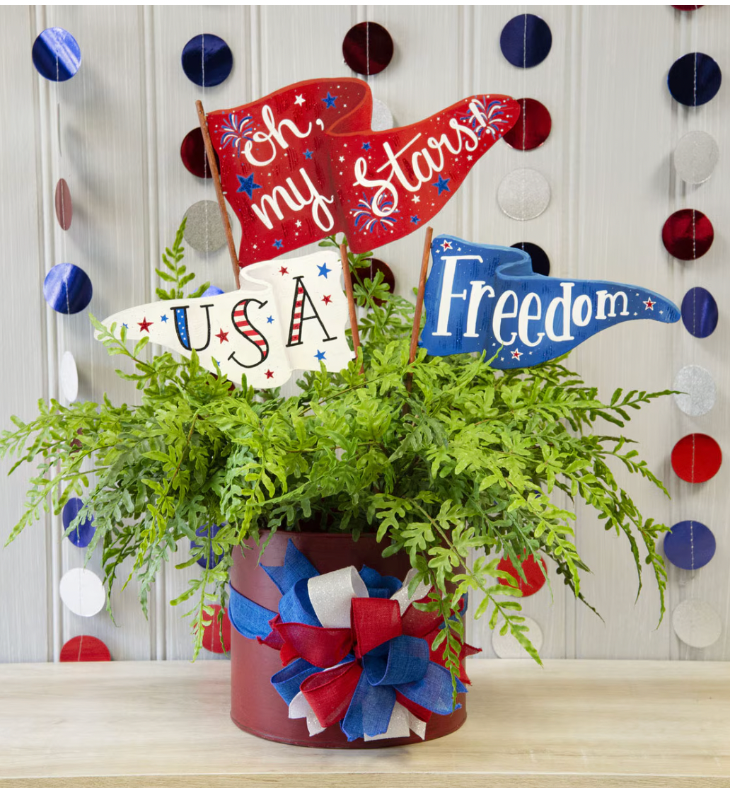 "Oh My Stars" Pennant Flag