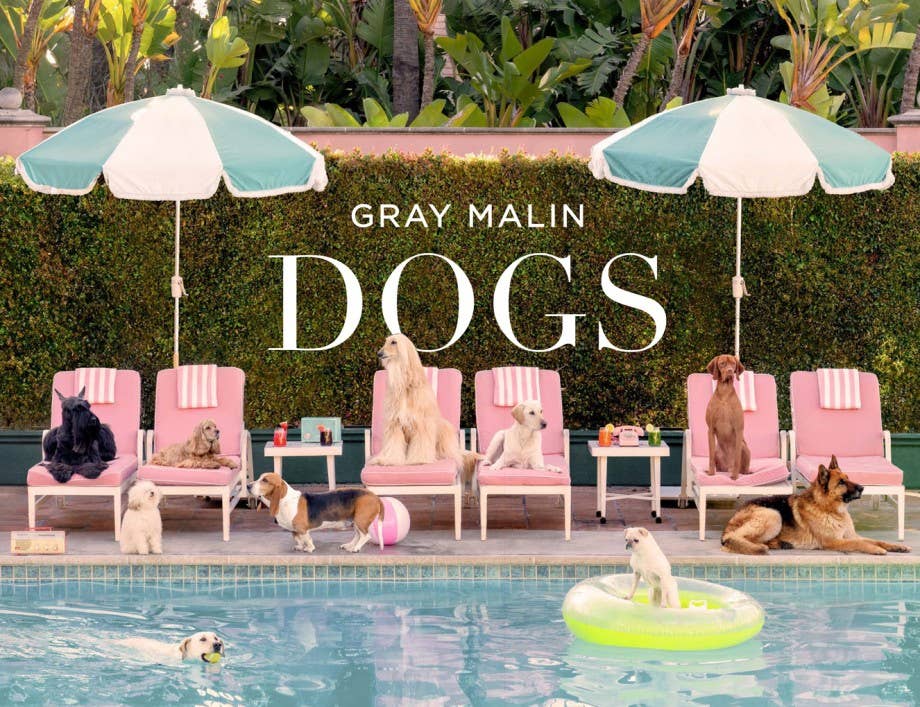 Gray Malin: Dogs - Bria Blair Creative