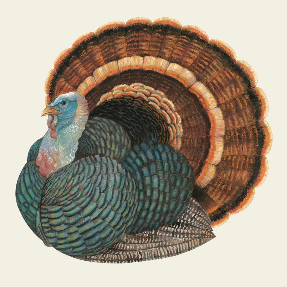 Hester & Cook Heritage Turkey Cocktail Napkins - Bria Blair Creative