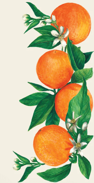 Orange Orchard Guest Napkins - Bria Blair Creative