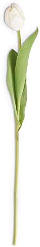 26.75 Inch White Silk with Real Touch Single Tulip Stem