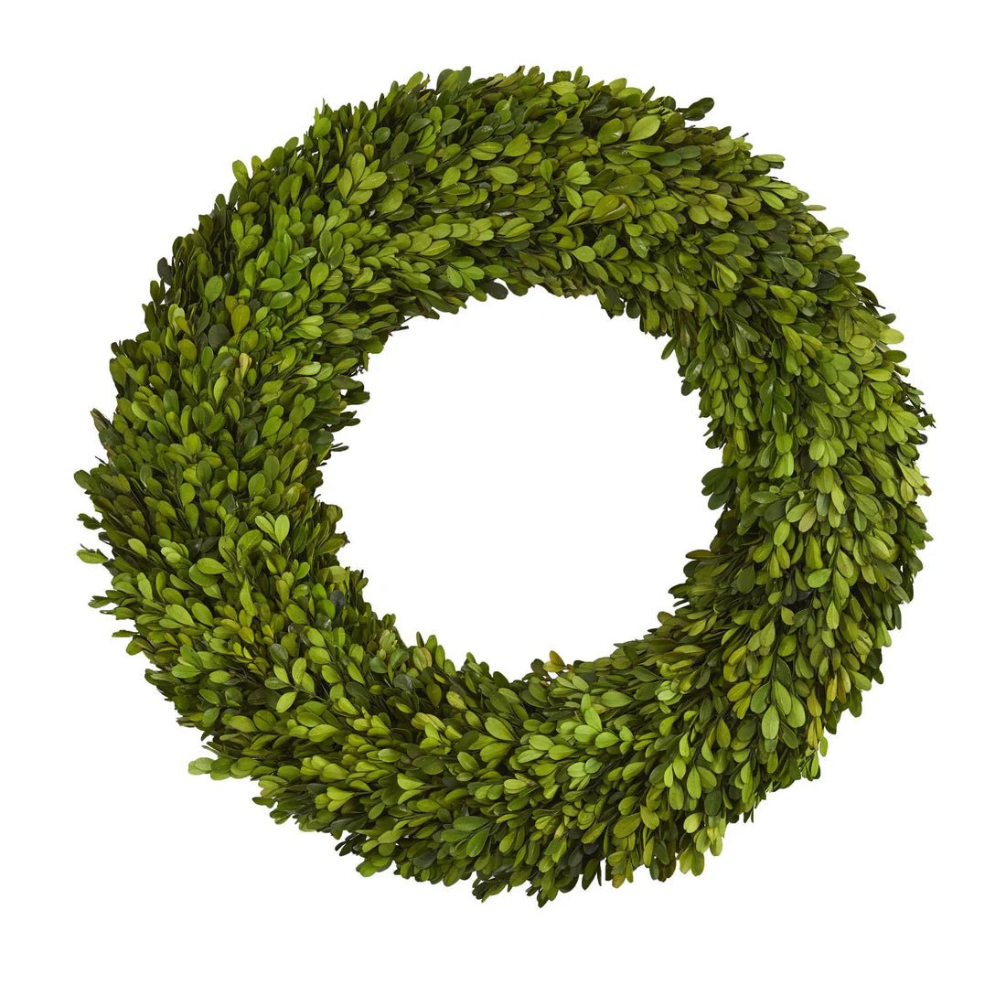 24” Preserved Boxwood Wreath - Bria Blair Creative