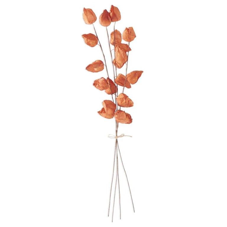 25" Orange Chinese Lanterns - Bria Blair Creative
