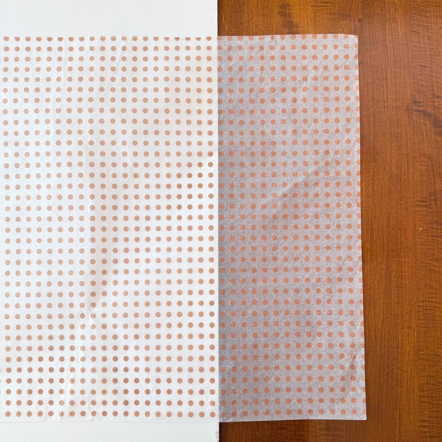 28" x 20" Polka Dots 17g Wrapping Tissue Paper Sheets: Black / Large Dot - Bria Blair Creative