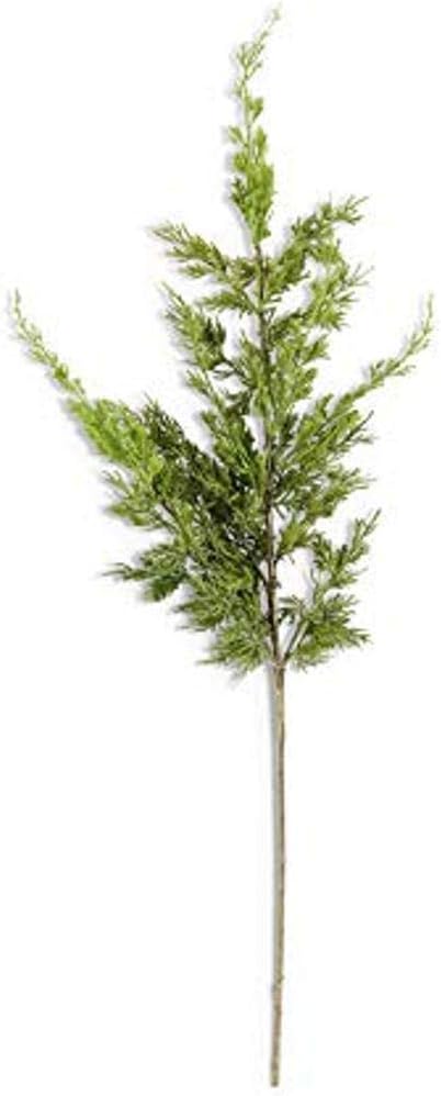 36" Real Touch Cypress Pine Branch - Bria Blair Creative