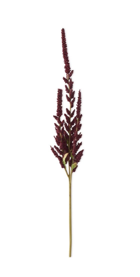 37 INCH BURGUNDY AMARANTHUS STEM - Bria Blair Creative