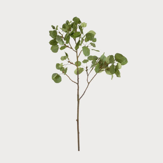 42" Aspen Spray - Bria Blair Creative