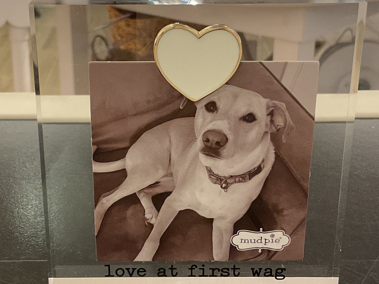 Love At First Wag Mini Acrylic Frame