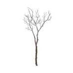 51" Manzinita Branch - Gold - Bria Blair Creative