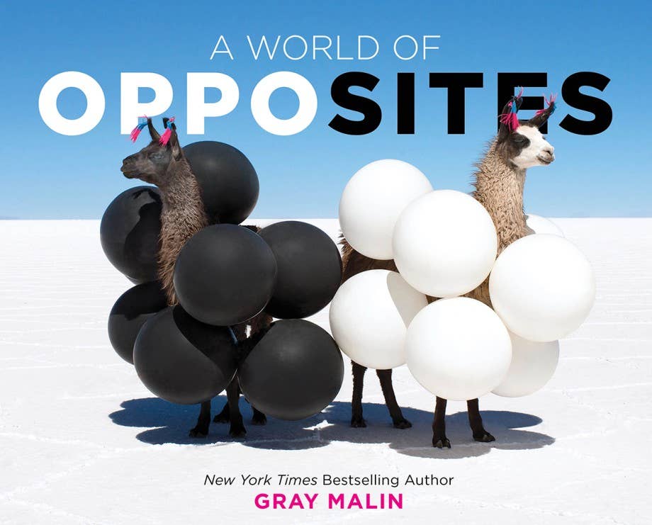 A World of Opposites - Bria Blair Creative