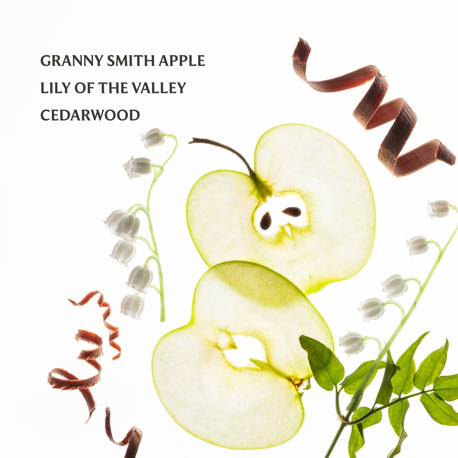 Applelicious Power Mist Hydrating Hand Sanitizer - Bria Blair Creative
