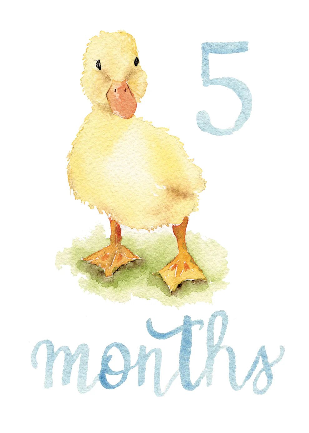 Baby Boy Monthly Milestone Cards - Bria Blair Creative