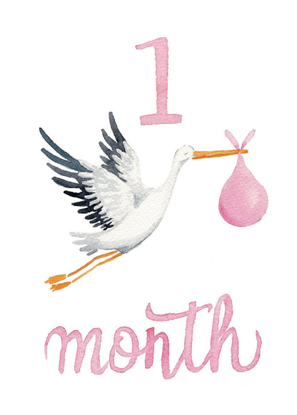 Baby Girl Monthly Milestone Cards - Bria Blair Creative