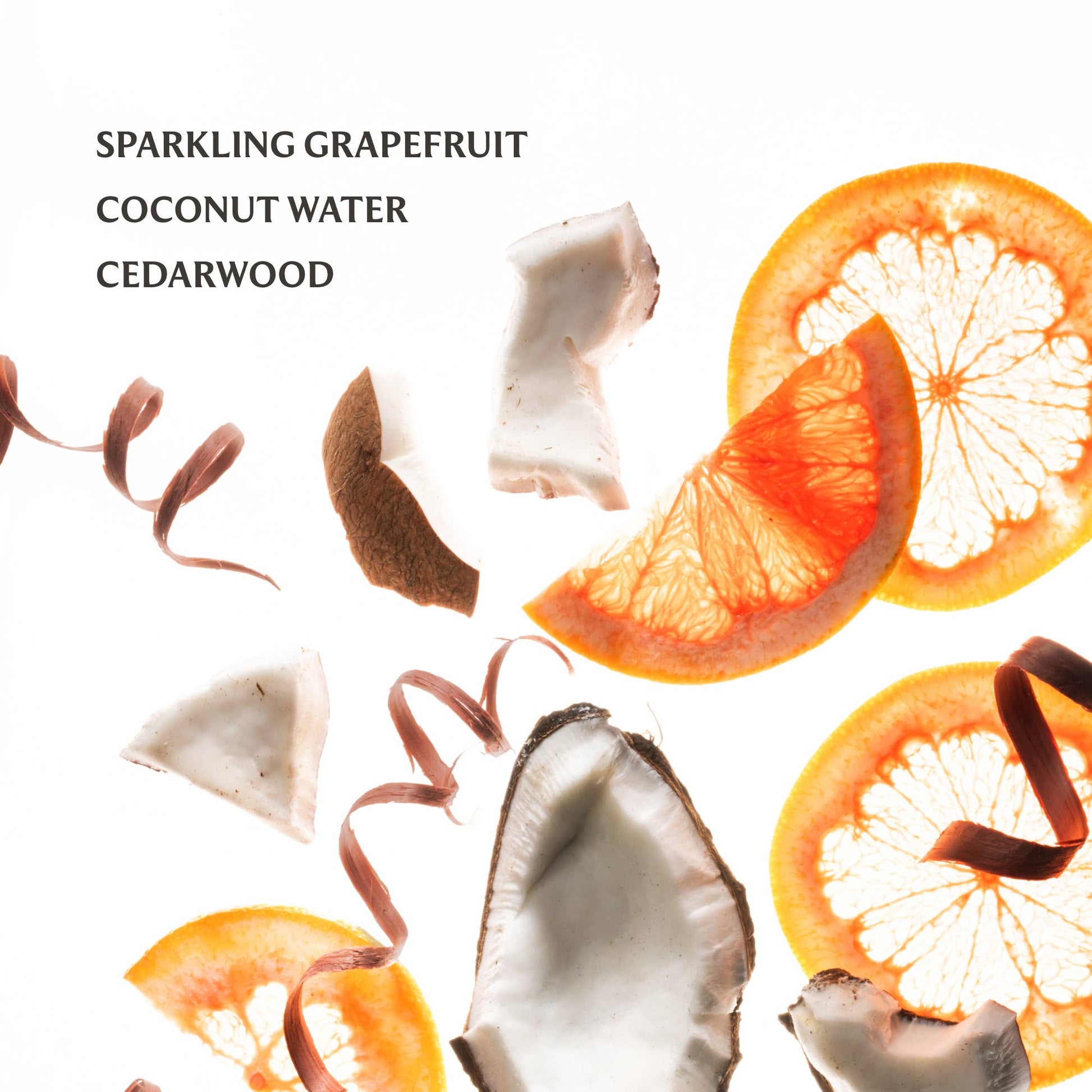 Beach Coco Power Mist Hydrating Hand Sanitizer - Bria Blair Creative