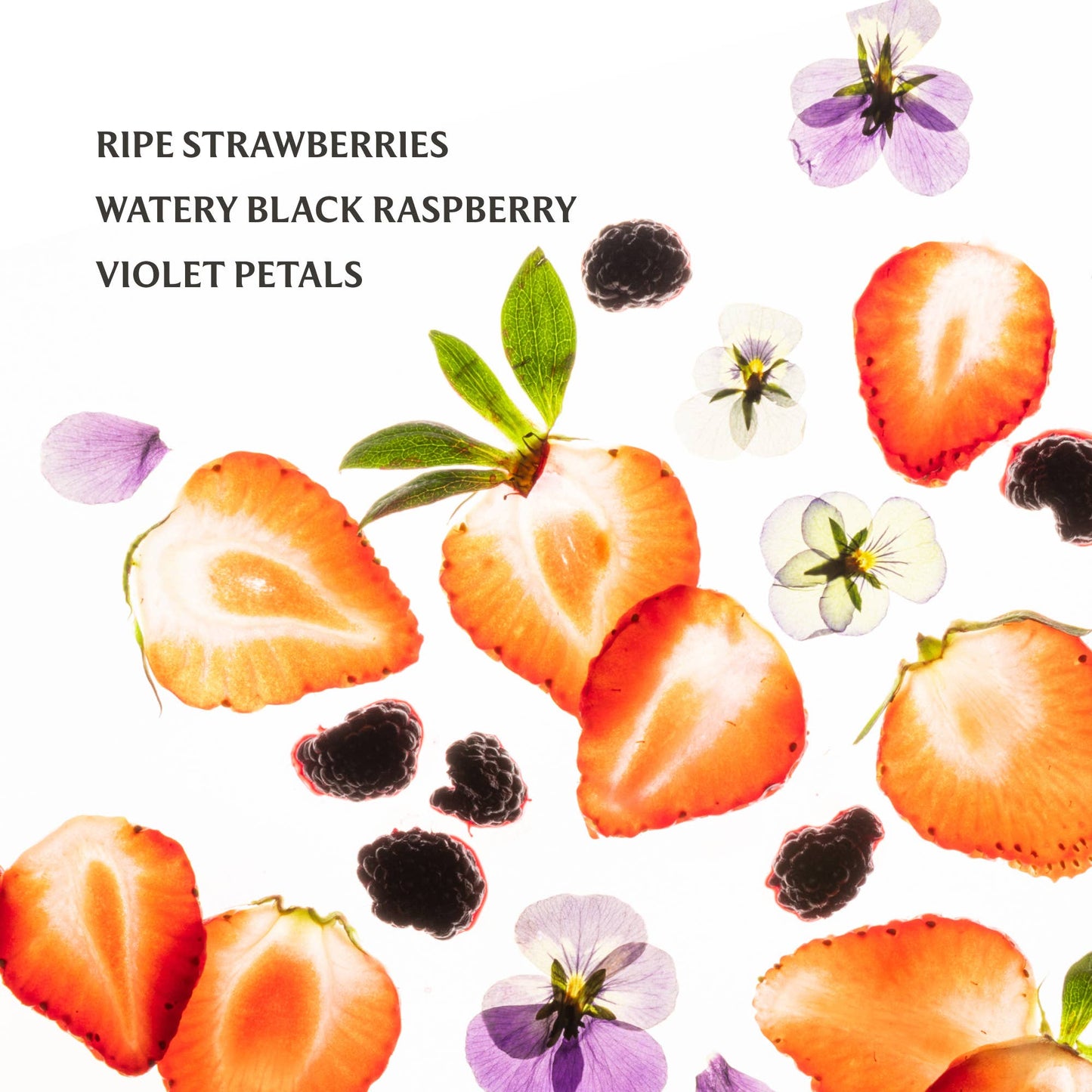 Berry Bliss Power Mist Hydrating Hand Sanitizer - Bria Blair Creative