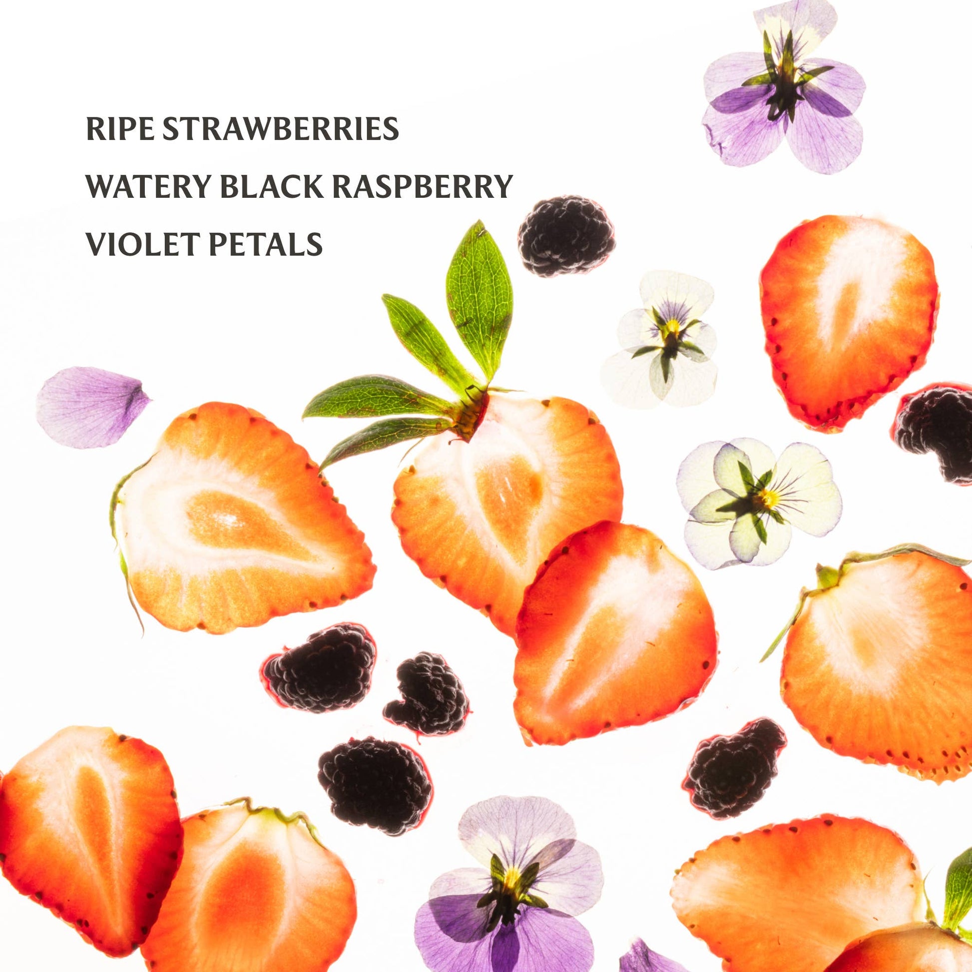Berry Bliss Power Mist Hydrating Hand Sanitizer - Bria Blair Creative