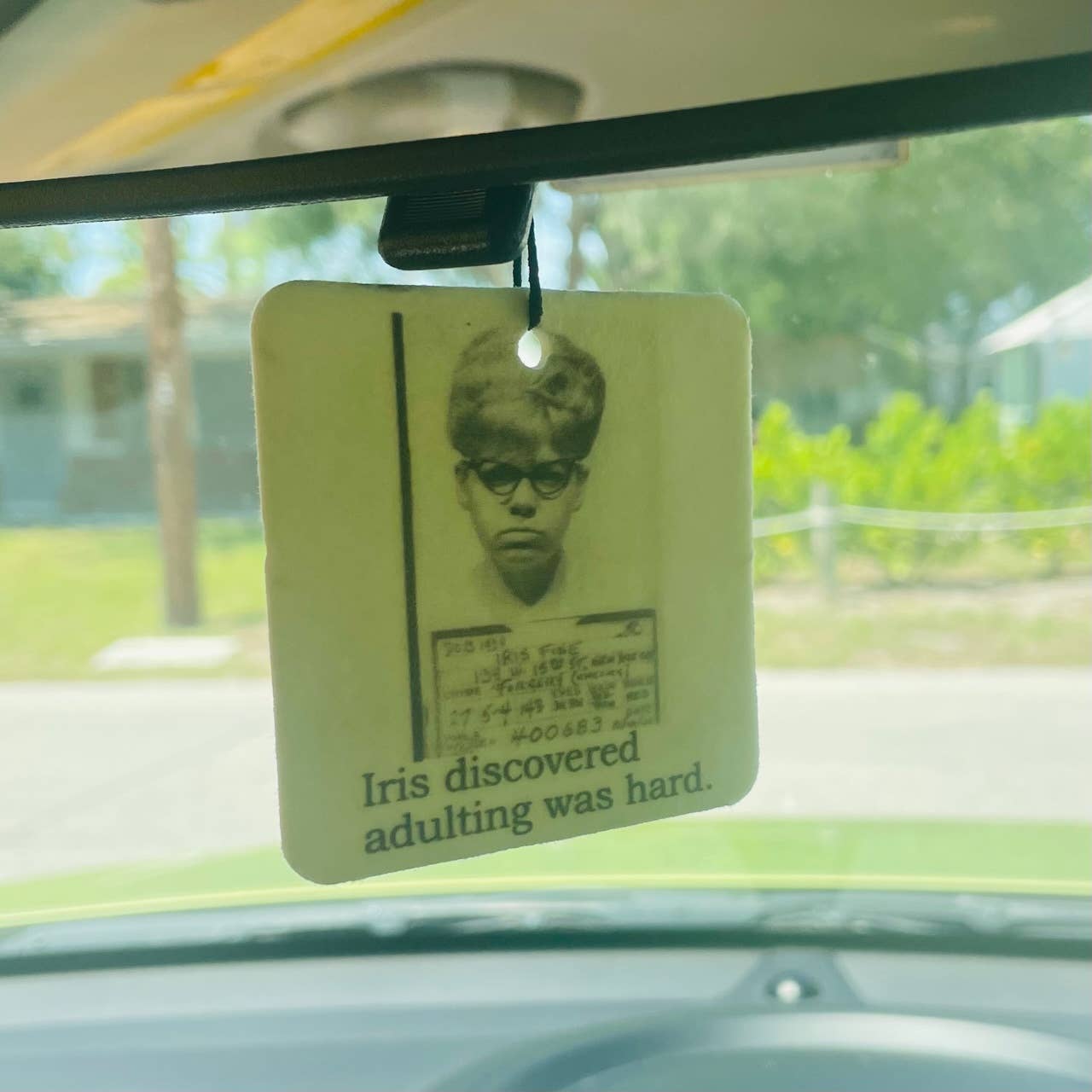 Big House Air Freshener, Car Freshener, Sometimes you need.. - Bria Blair Creative