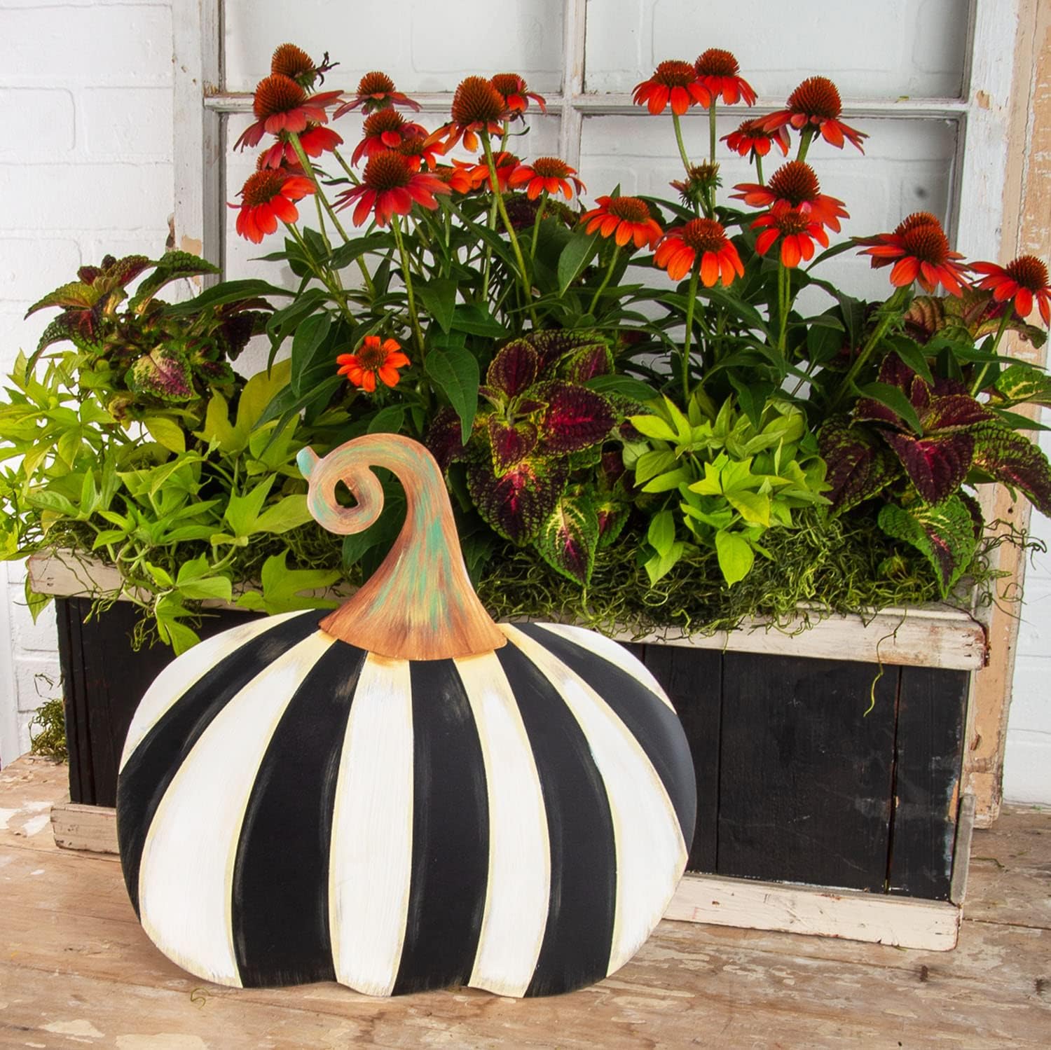 Black and White Striped Pumpkin - Short - Bria Blair Creative