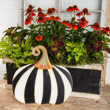 Black and White Striped Pumpkin - Short - Bria Blair Creative