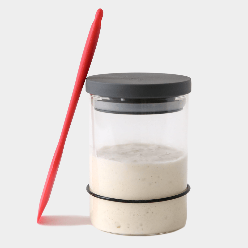 Breadtopia Sourdough Starter Kit - Bria Blair Creative