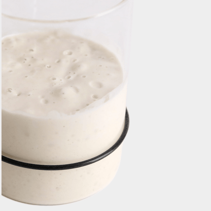 Breadtopia Sourdough Starter Kit - Bria Blair Creative