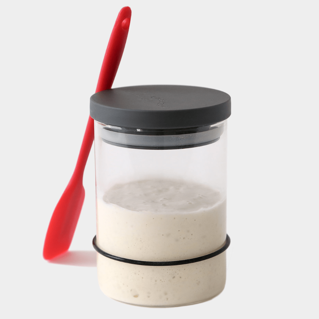 Breadtopia Sourdough Starter Kit - Bria Blair Creative
