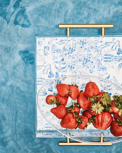Chinoiserie Print Acrylic Tray With Gold Handles - Bria Blair Creative