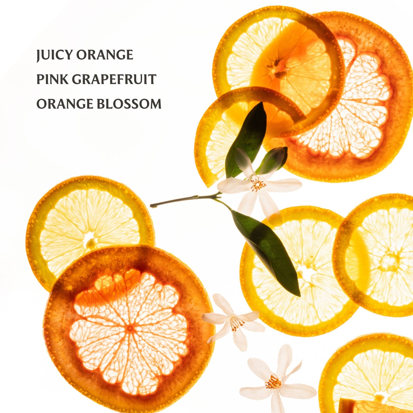 Citrus Grove Power Mist Hydrating Hand Sanitizer - Bria Blair Creative