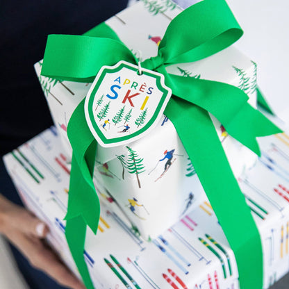 Continuous Roll Gift Wrap | Colorful Skis - Bria Blair Creative
