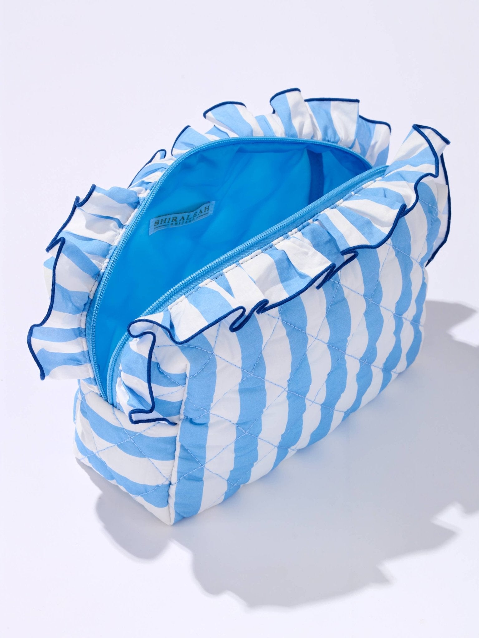 FANCY LARGE ZIP POUCH: BLUE - Bria Blair Creative