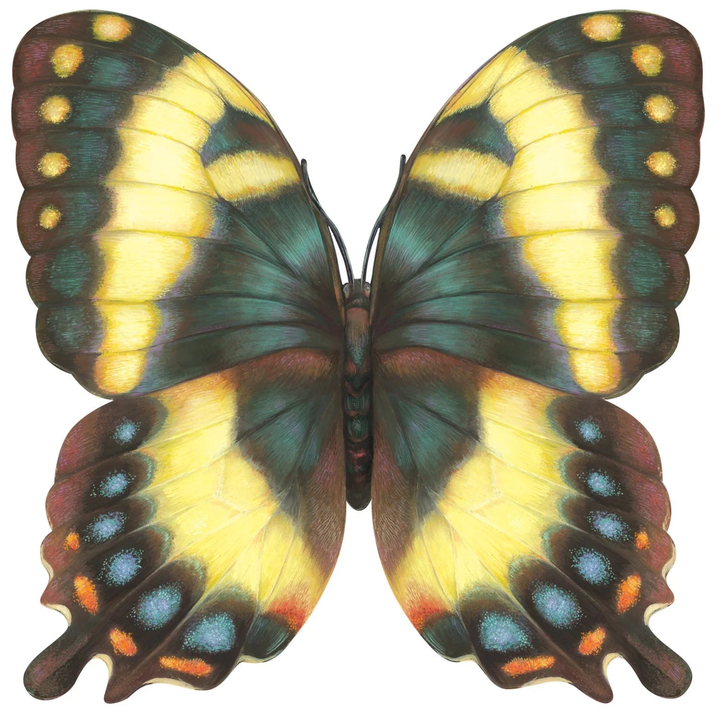 Hester & Cook Die - cut Butterfly Placemat Regular price - Bria Blair Creative