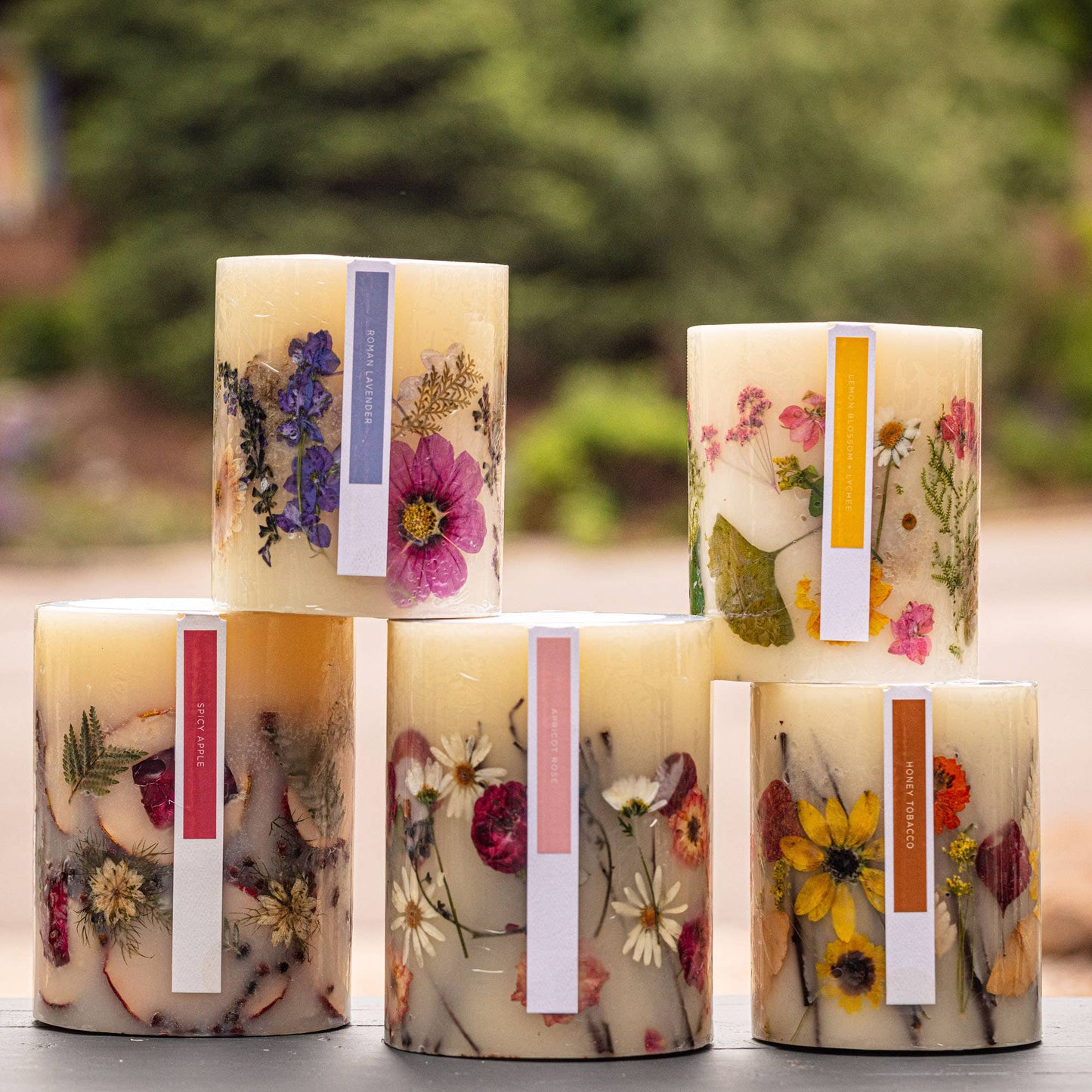 Honey Tobacco Small Round Botanical Candle - Bria Blair Creative