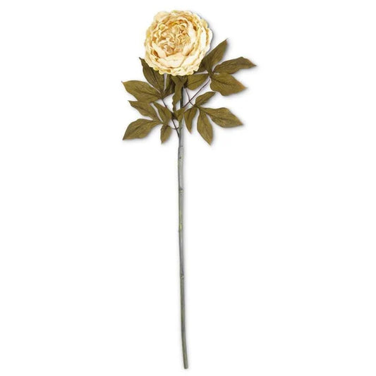 30-inch Cream Peony Stem