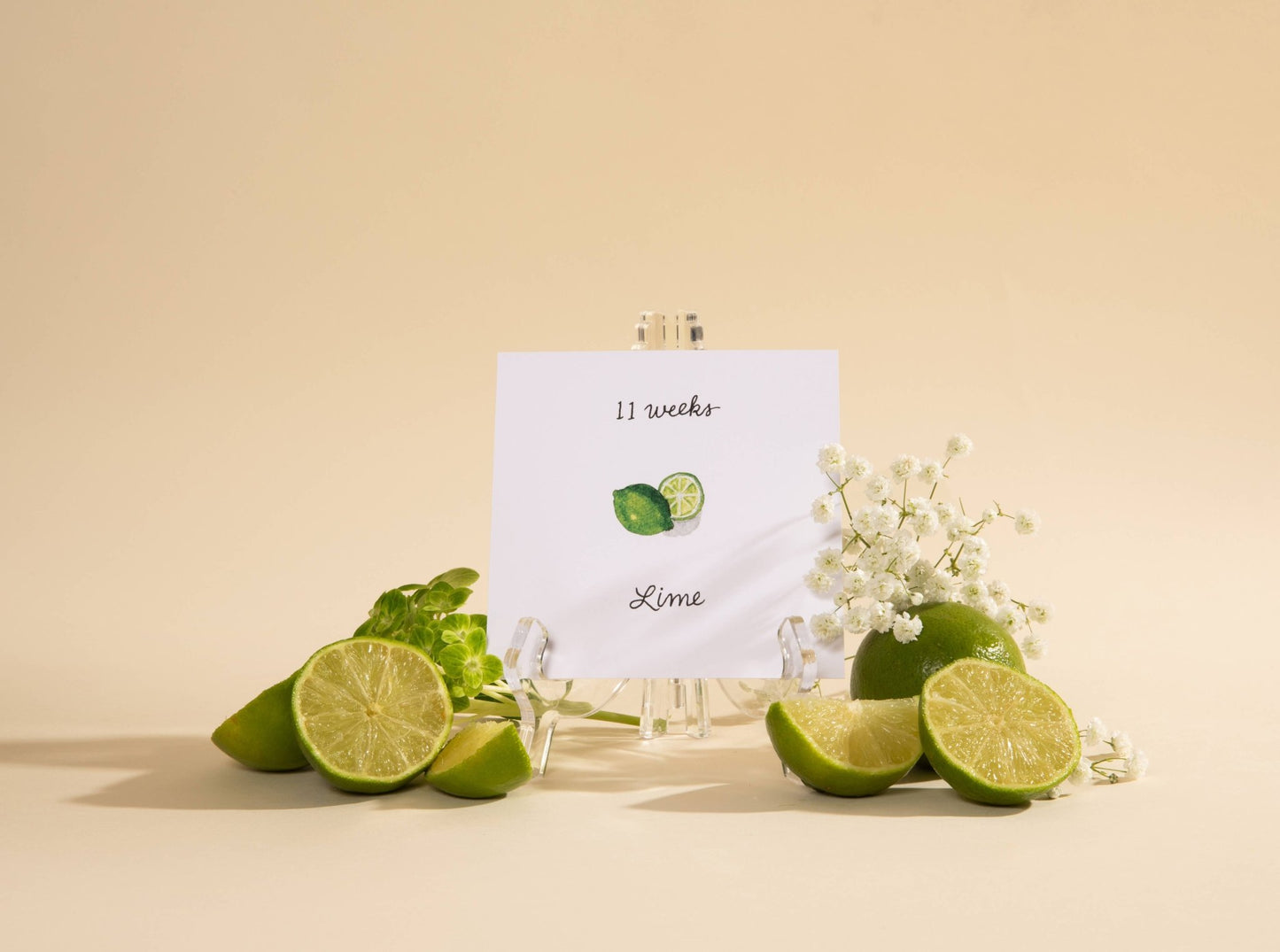 Jardin des Bébés Pregnancy Growth Cards - Bria Blair Creative