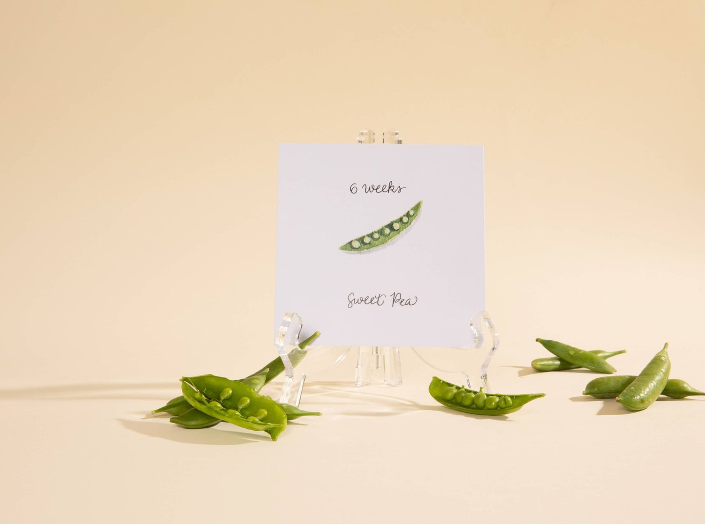 Jardin des Bébés Pregnancy Growth Cards - Bria Blair Creative
