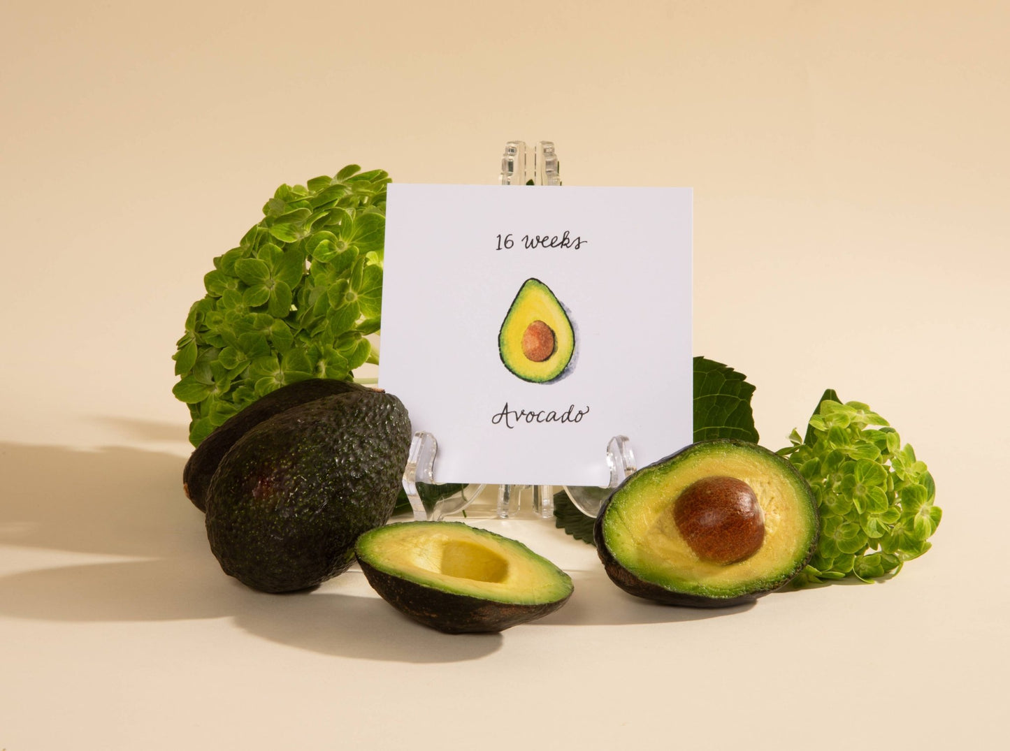 Jardin des Bébés Pregnancy Growth Cards - Bria Blair Creative