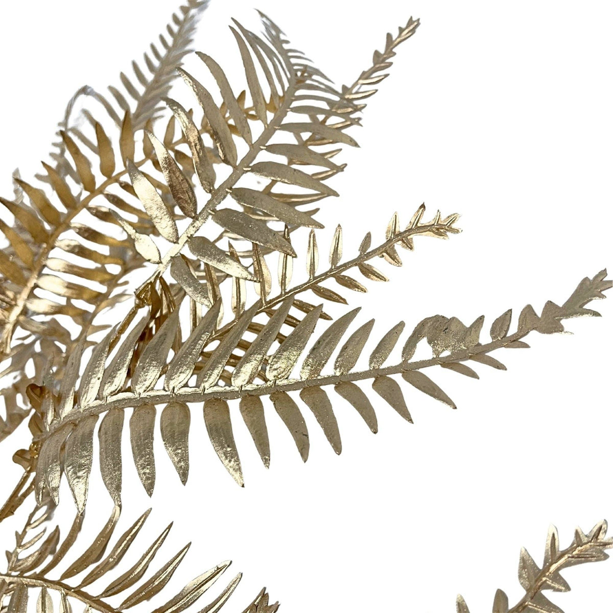 Metallic Buckler Fern Spray 39" - Gold - Bria Blair Creative