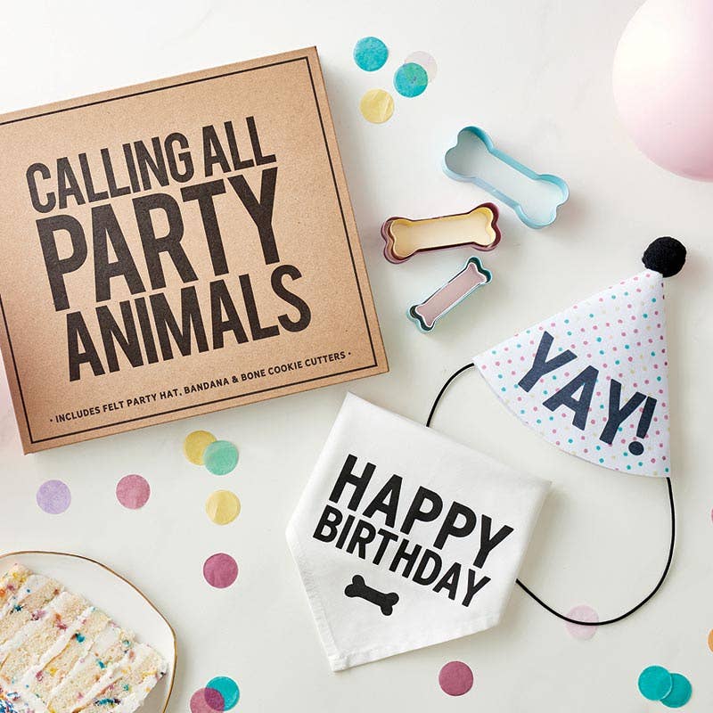 Pet Birthday Book Box - Bria Blair Creative