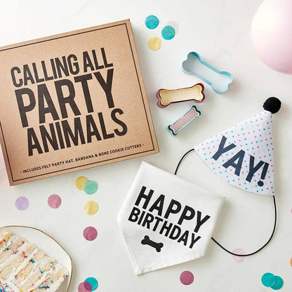 Pet Birthday Book Box - Bria Blair Creative
