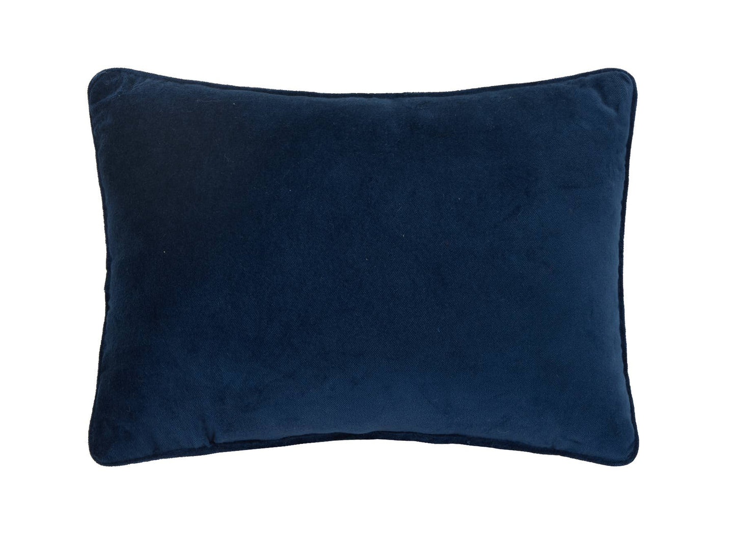 Sassy And Classy Embroidered Needlepoint Pillow - Bria Blair Creative