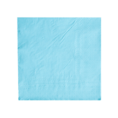 Shades Large Napkins - 16 Pk. 23 Color Options: Cloud - Bria Blair Creative