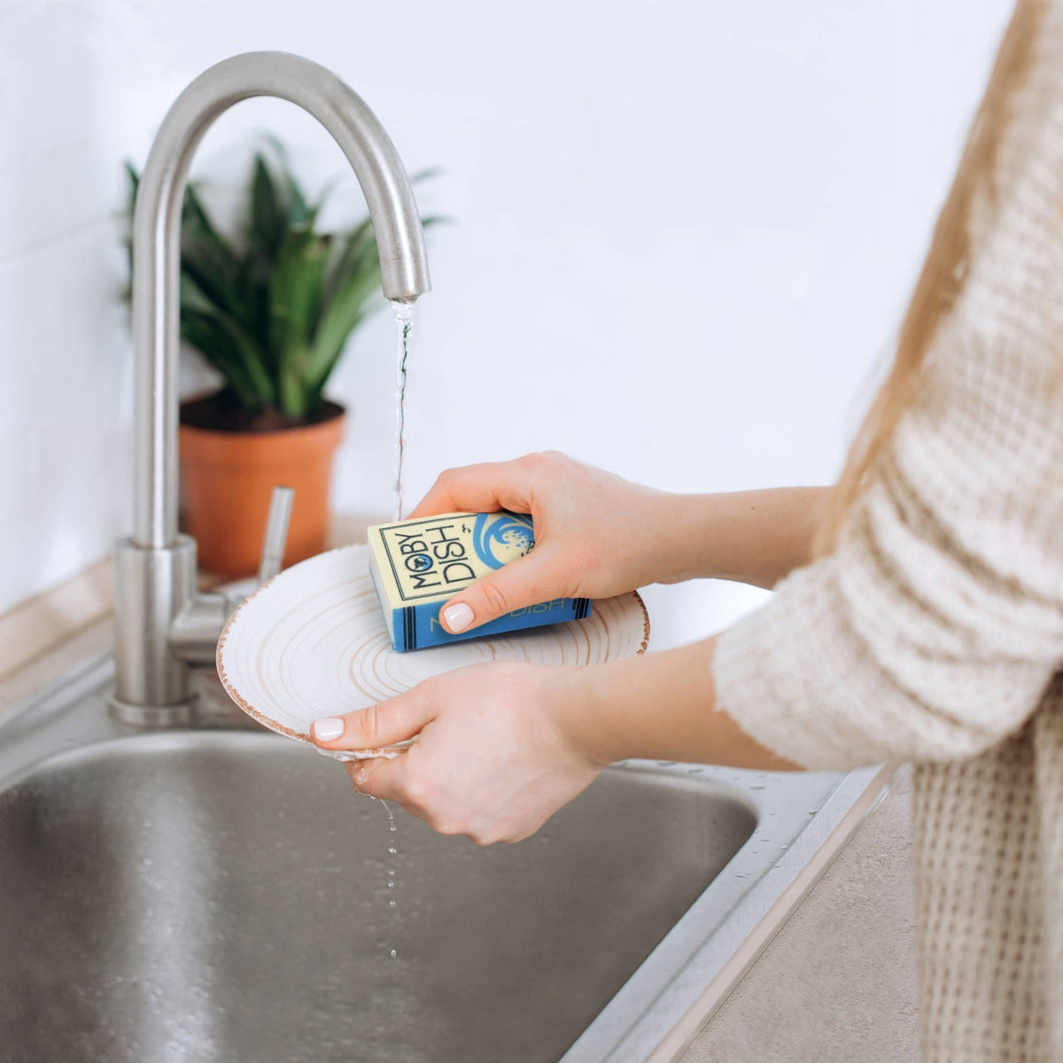 Sponges - Neat and Novel - Book Parody Sponges - Set of 3 - Bria Blair Creative