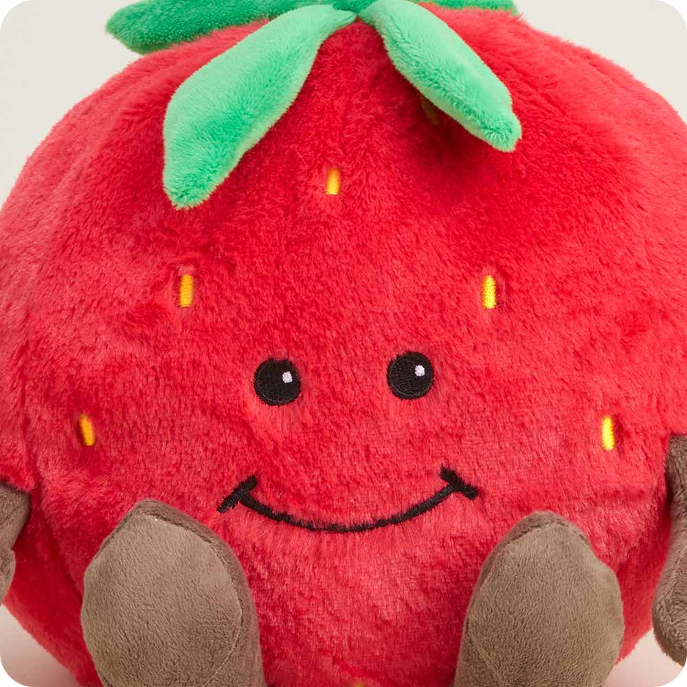 Strawberry Warmies - Bria Blair Creative