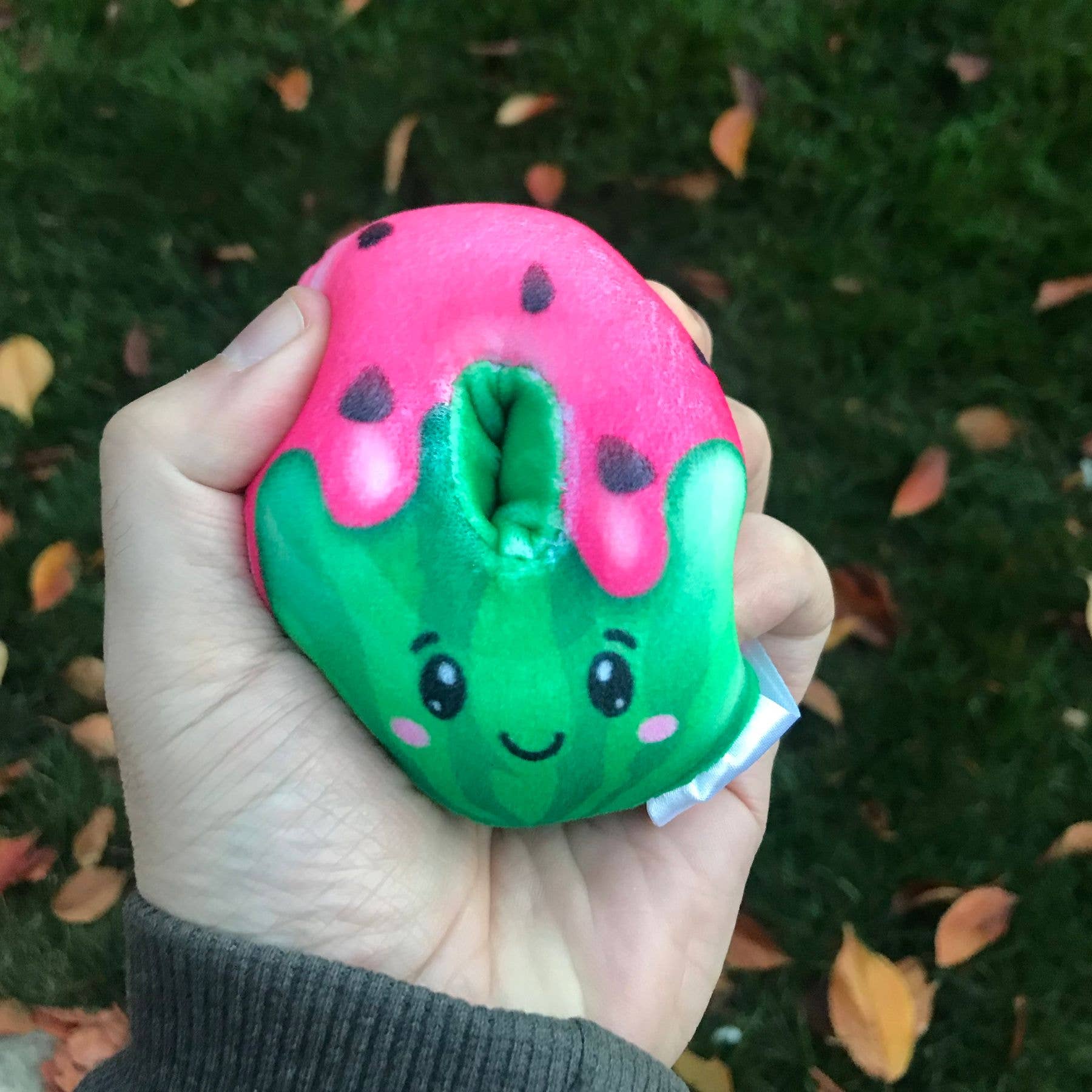 Super Duper Sugar Squisher Donuts - Fruit Edition - Bria Blair Creative