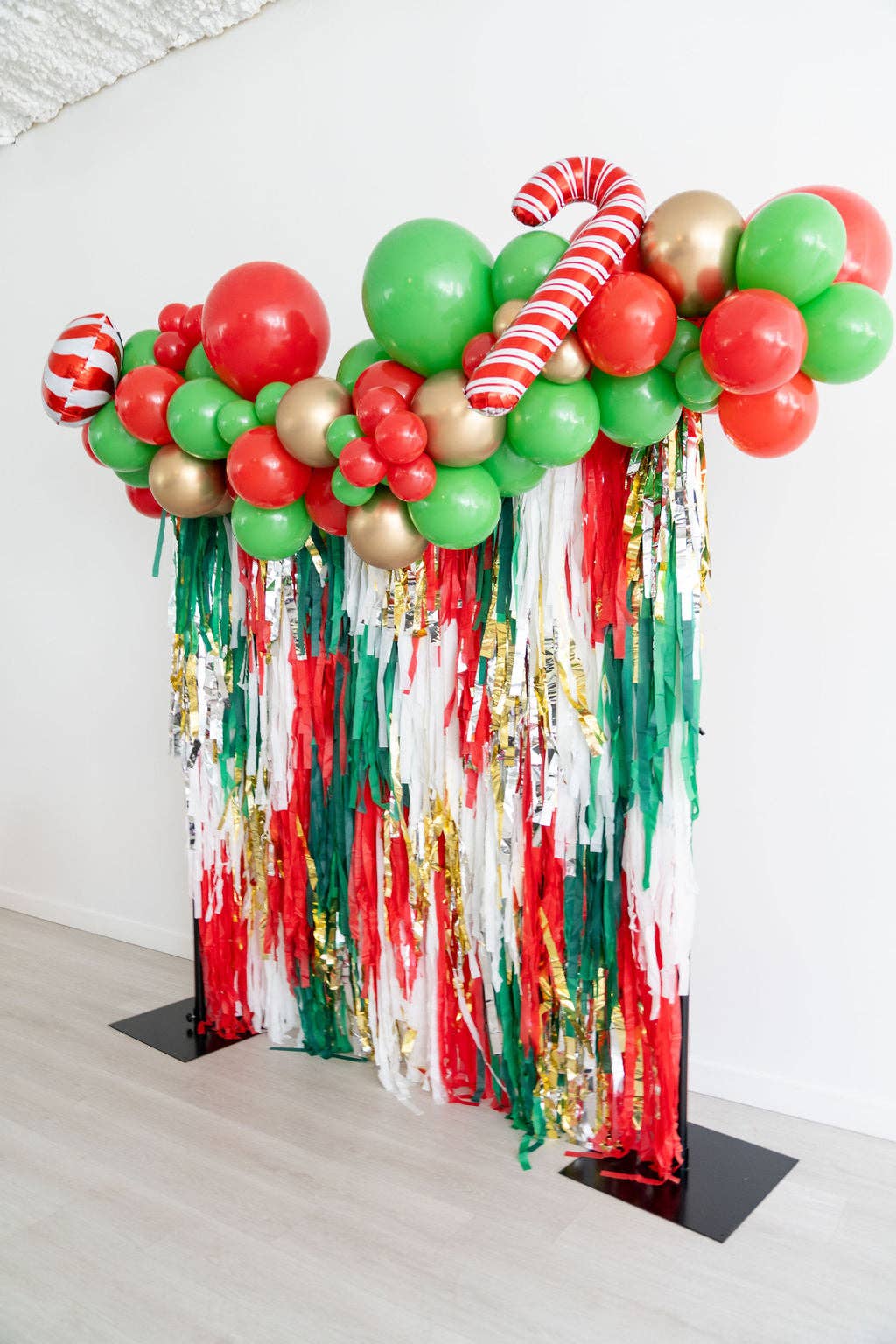 Under The Mistletoe Fringe Backdrop: 4' W x 6' H - Bria Blair Creative